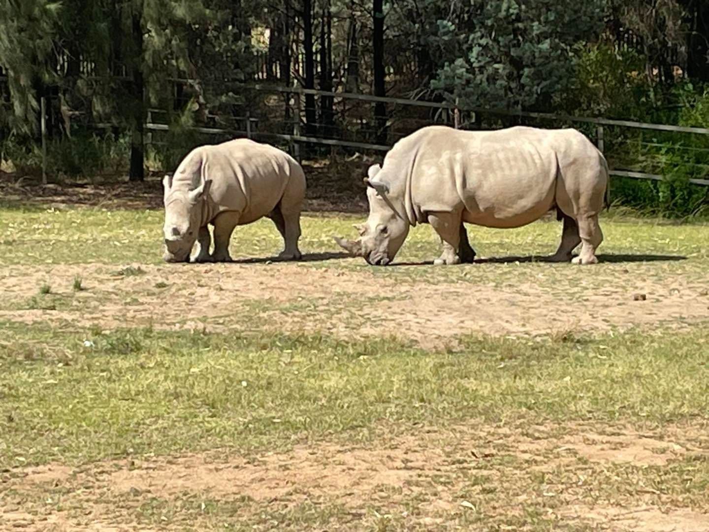 Dubbo Zoo 2025 Image -67de04d1799ad